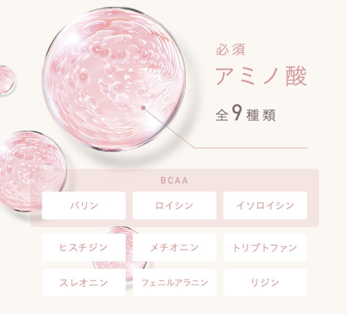 すっぽん小町