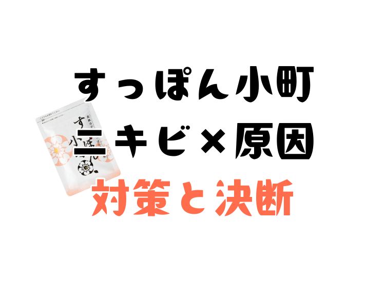 すっぽん小町だけがニキビの原因ではない話し。生活習慣、生理期間中、食生活も関わる。